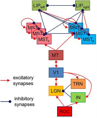 Spike Timing Neural Model of Motion Perception and Decision Making